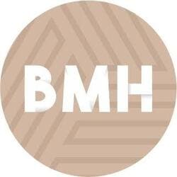 logo breizh mobil homes white rond 250 compresse
